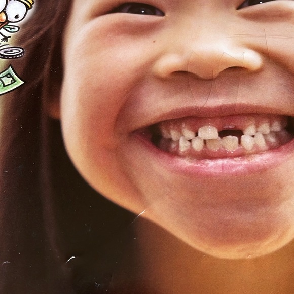 Fly Guy Presents Why Fly Guy? A Big Question & Answer Book by Tedd Arnold - Picture 9 of 10